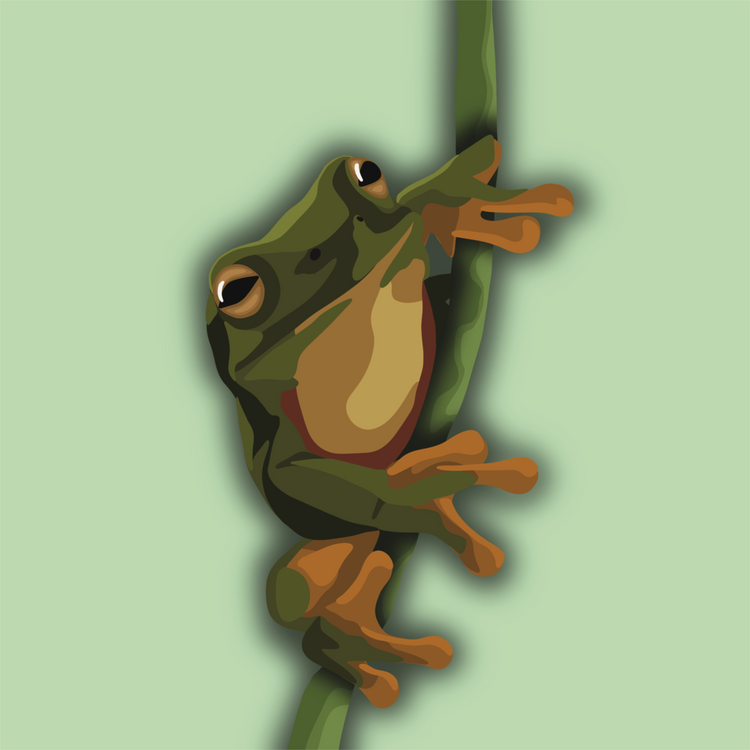 Frog - Bumblegee Designs