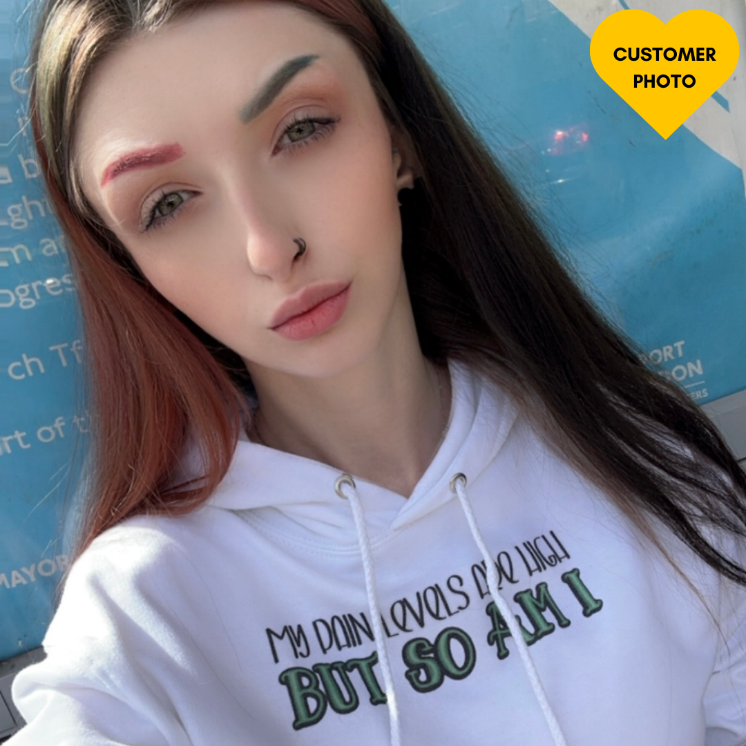My Pain Levels Are High Hoodie - Apparel - Bumblegee Designs