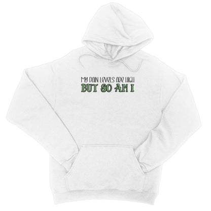 My Pain Levels Are High Hoodie - Apparel - Bumblegee Designs
